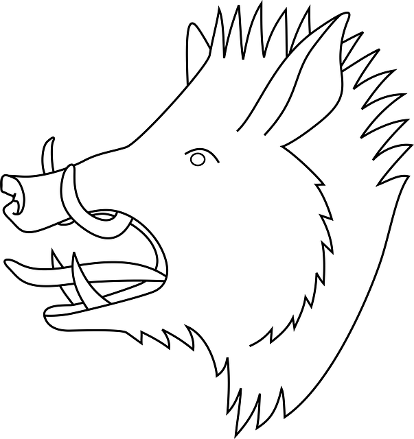 head-35885_640[1].png
