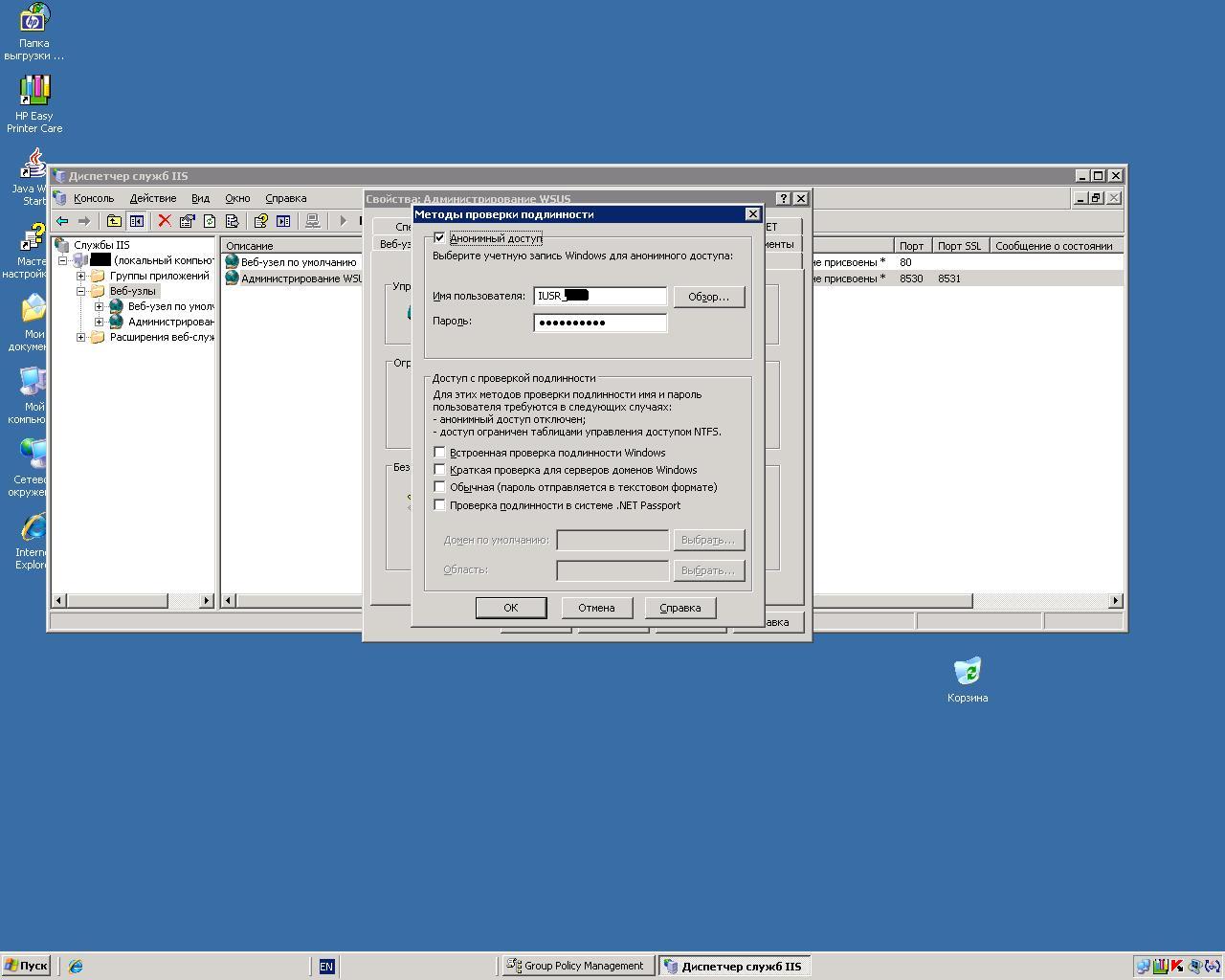 iis2.JPG