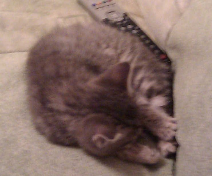 IMAG0025.jpg