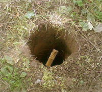 image00w5.jpg