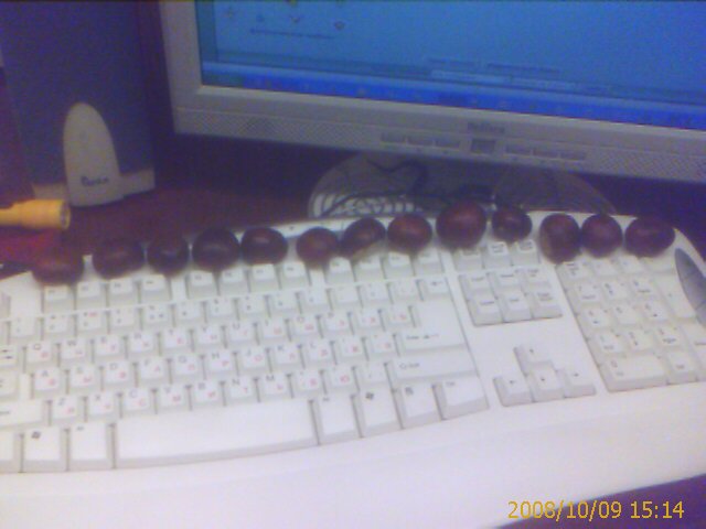 IMAGE_00009.jpg