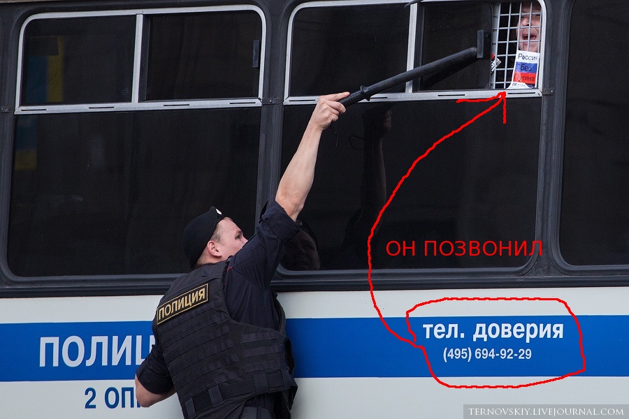 image_1_136.jpg