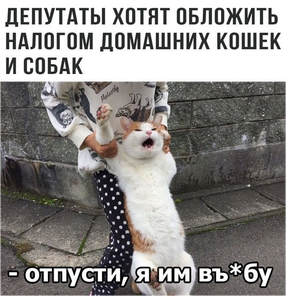image (23).jpg