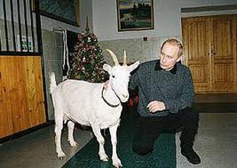 images.jpg