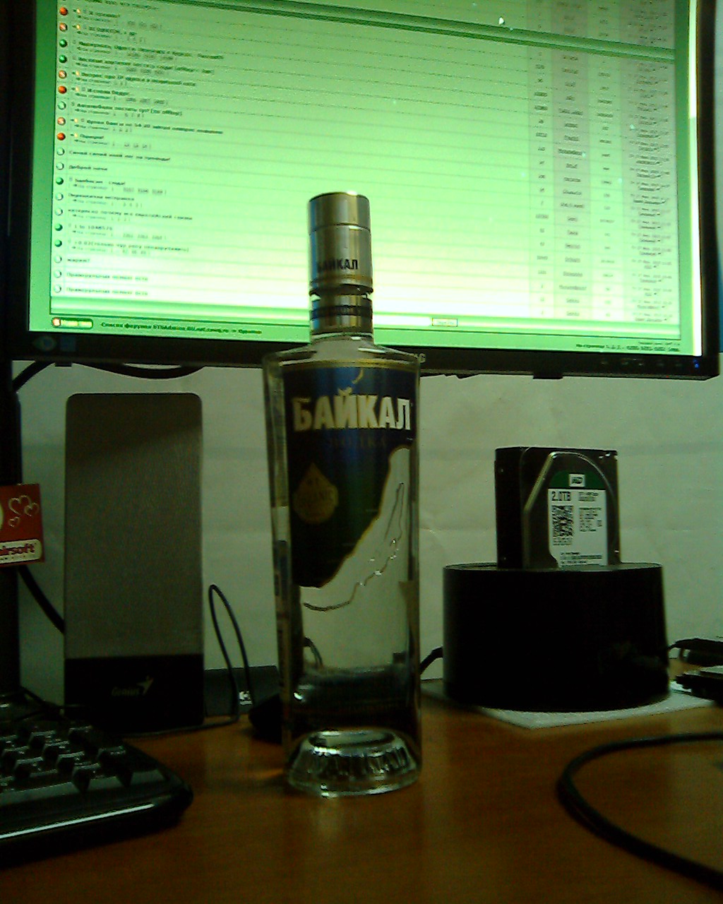 IMG0031A.jpg