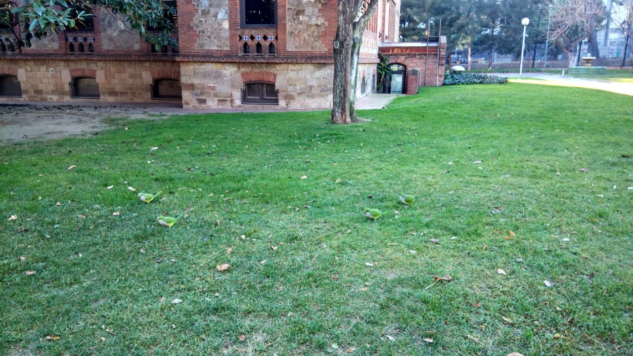 IMG_20150123_182001.jpg