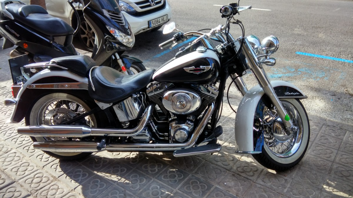 IMG_20150316_033728.jpg