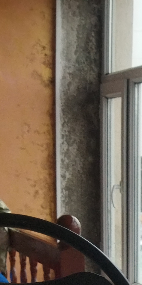 img_20220326_102840_213.jpeg
