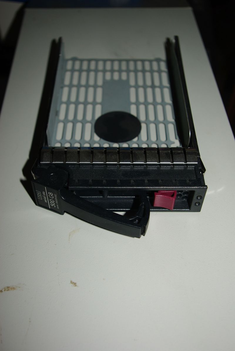 IMGP8098.jpg