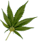 joint.gif