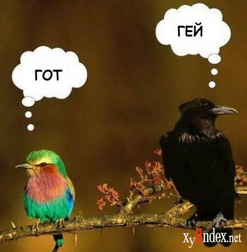 jpg.jpg
