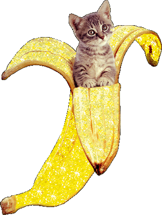 kotenok_v_banane_4ec447d06cb0434ebccac0e73df9d79a.gif
