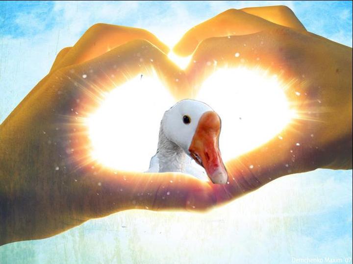 love.jpg