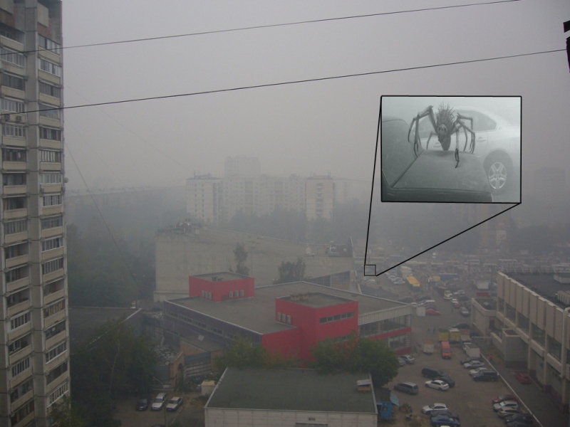 moscow.jpg
