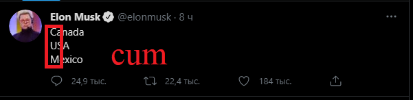 musk.png