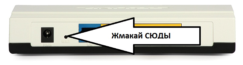n2991+++.jpg