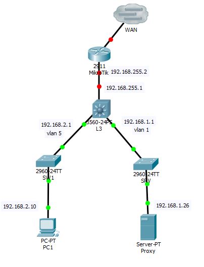 network.JPG