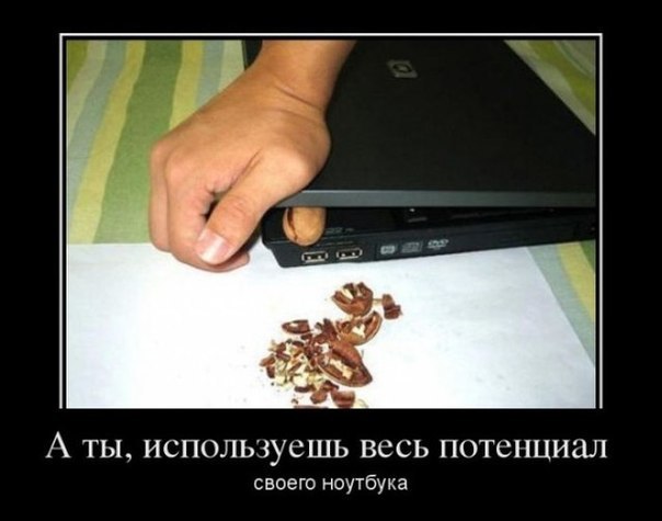 nout_orehokol.jpg