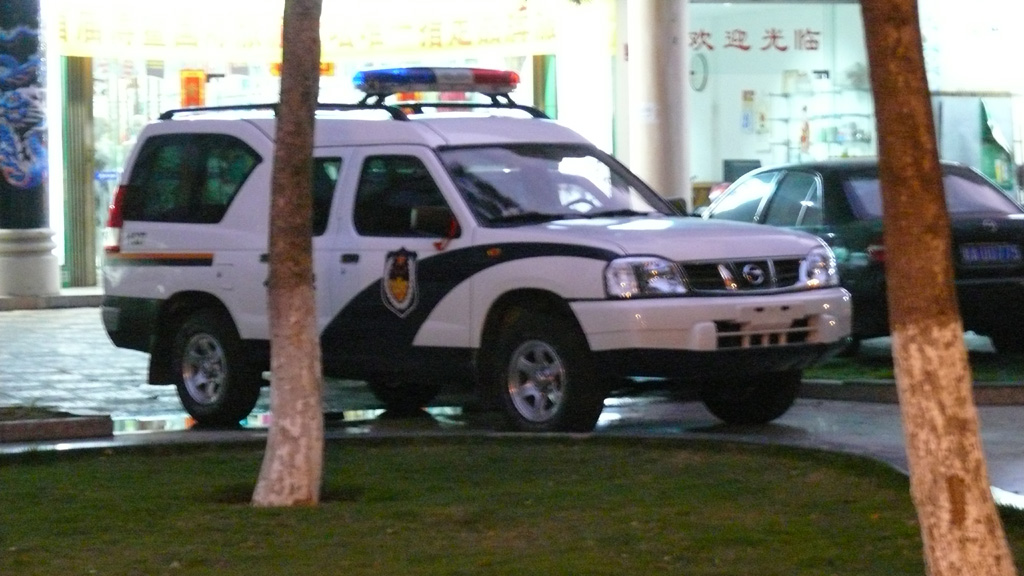 P1020763.jpg