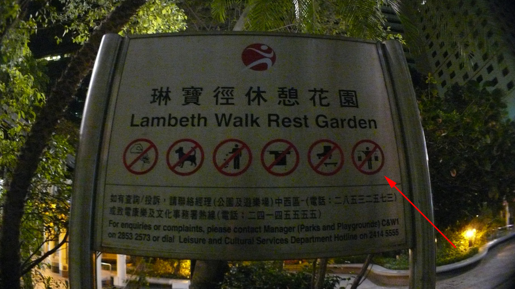 P1030536.jpg