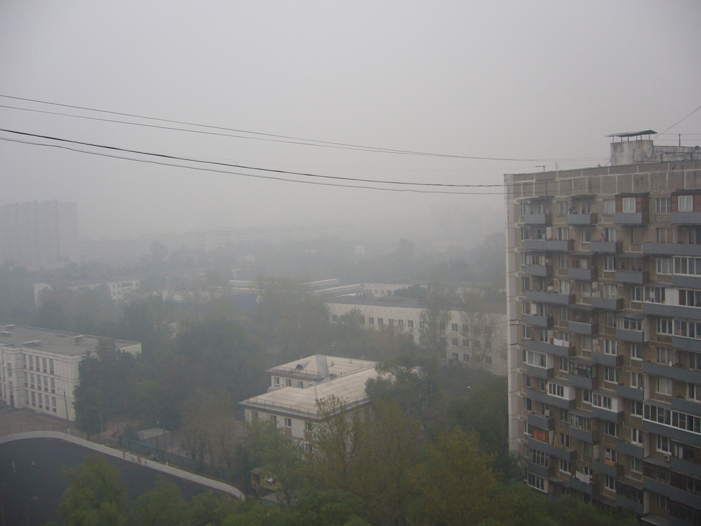 P1100100-1024.jpg