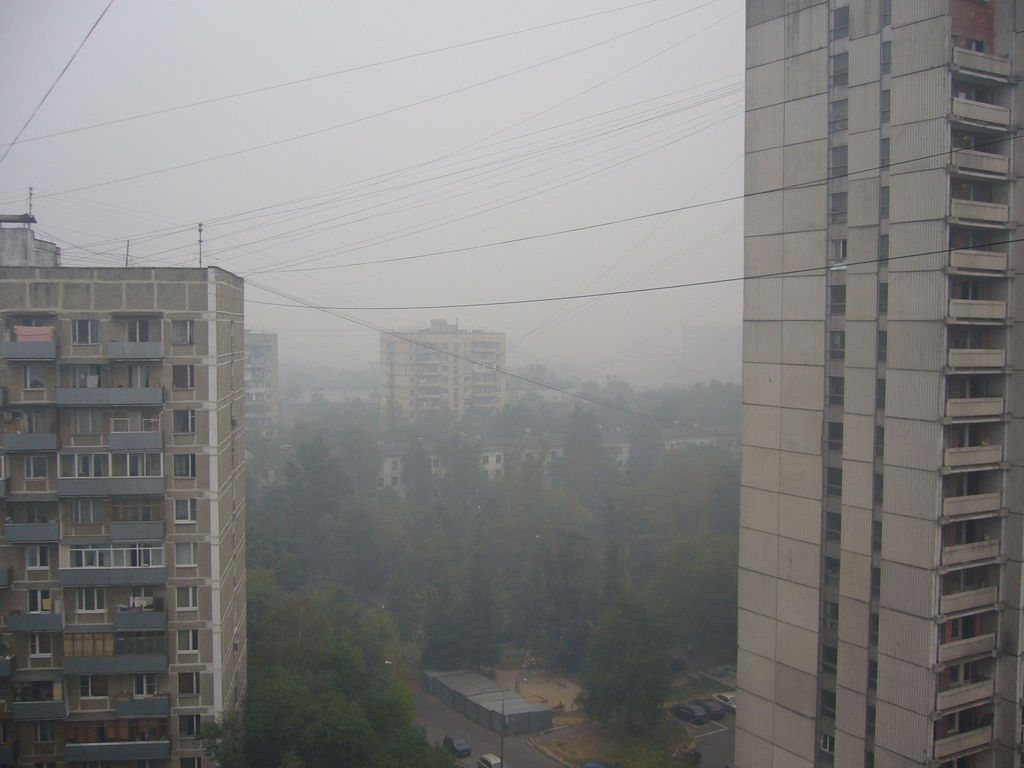 P1100101-1024.jpg