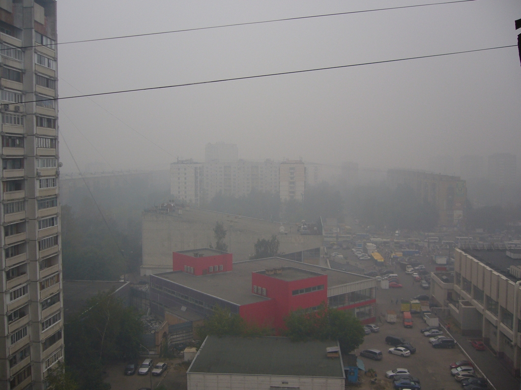 P1100102-1024.jpg