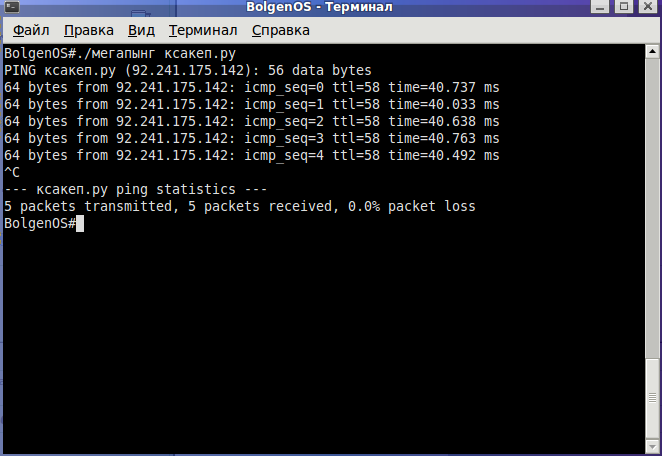 ping.png