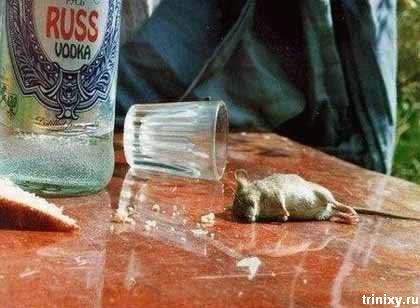 pivo_15.jpg