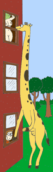 Q3hWW.gif