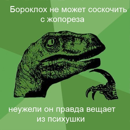 raptor_24325537_orig_.jpeg