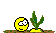 repka[1].gif