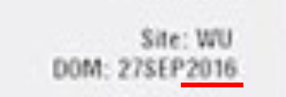 saruhdd.png