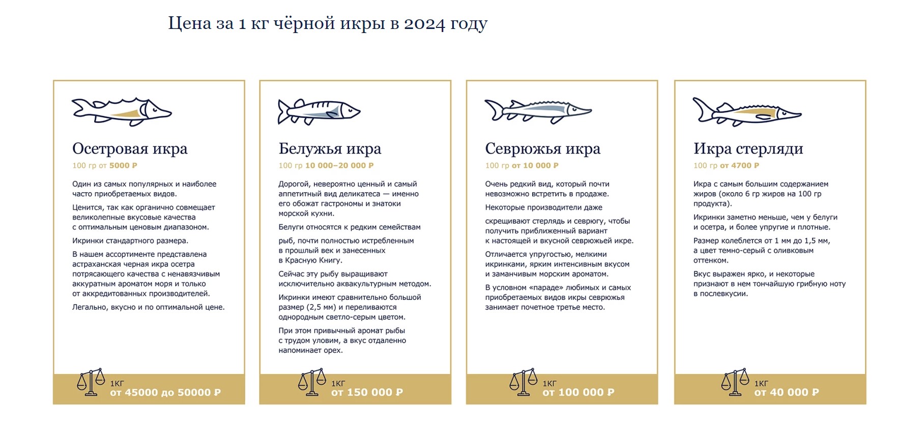Screenshot 2024-10-09 130249.jpg