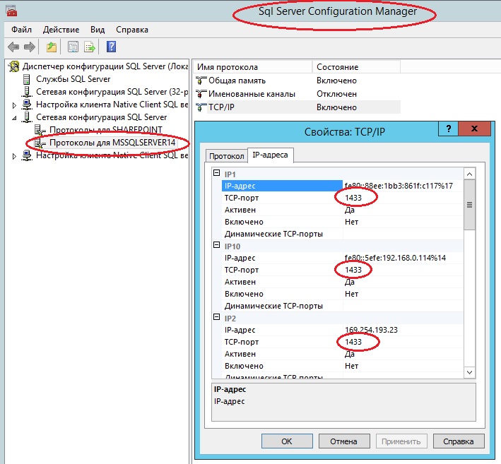 sql scm.jpg