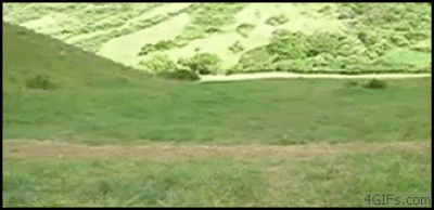 1256156688491.gif