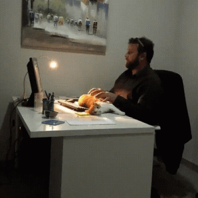 12.gif