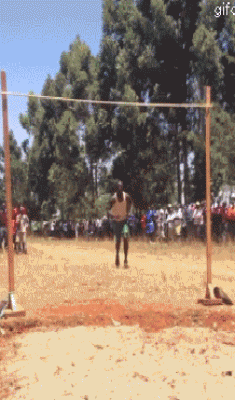 1.gif