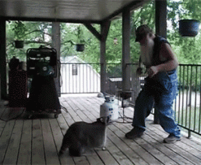 575363567835683568356835683568356.gif
