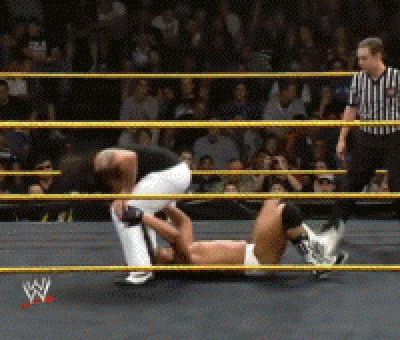 giphy (16).gif