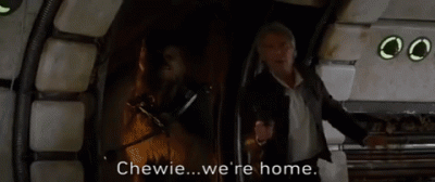 giphy (64).gif