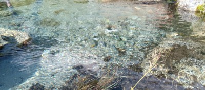 IMG_20230805_163429_595.jpg