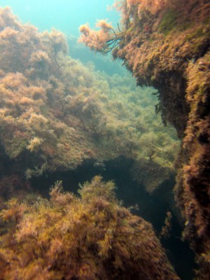 IMG_4219.JPG