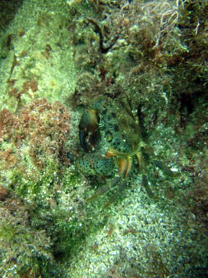 IMG_4318.JPG