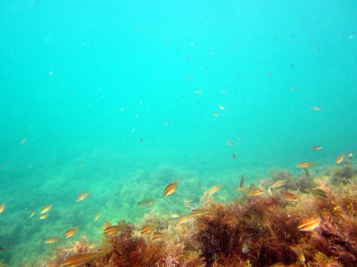 IMG_4376.JPG
