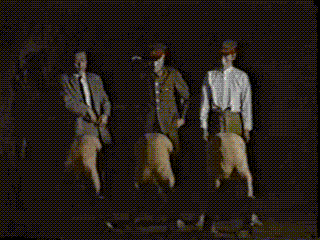 tyot.gif