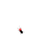 Untitled-3.gif