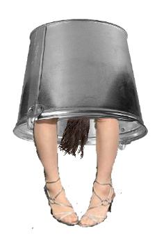 vn2.png