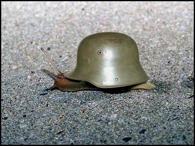 warsnail.jpg