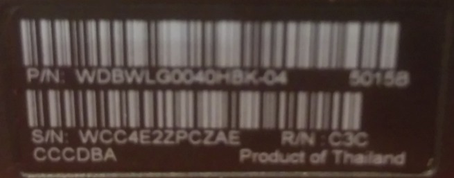 wd-pic1.jpg